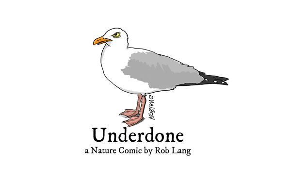 Underdone: A Nature Comic
