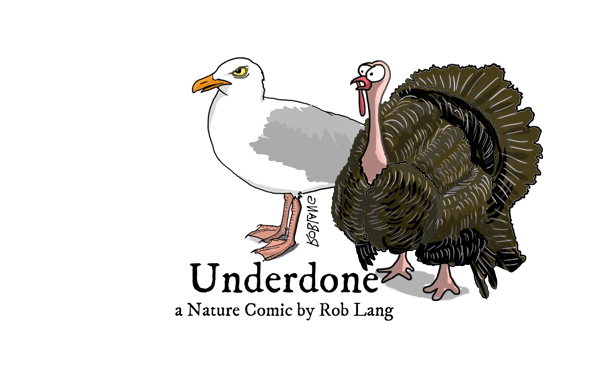 Underdone Turkey Day Header