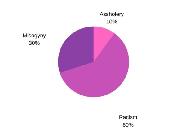 A pink and purple pie chart showing 30% misogyny, 10% assholery, 60% racism.