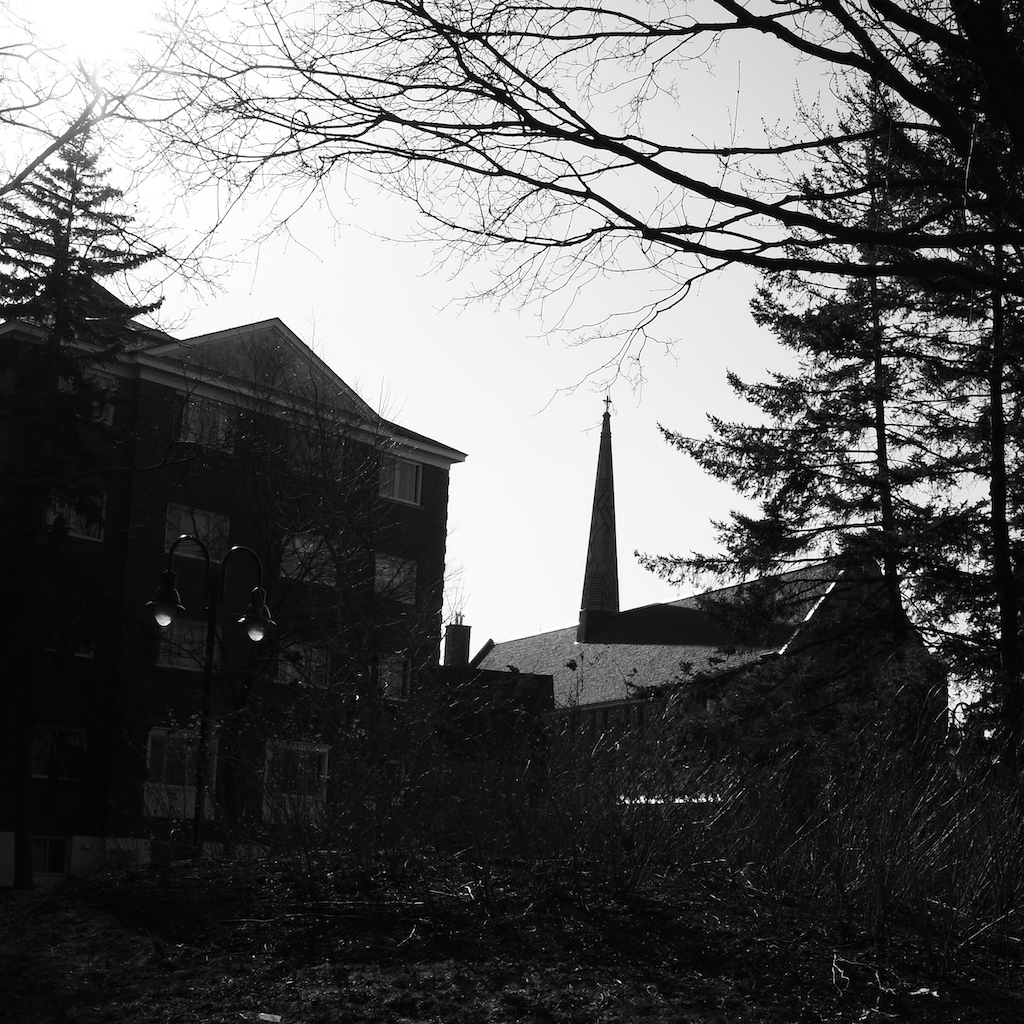A moody black and white photo of houses and trees to show effect of back lighting.