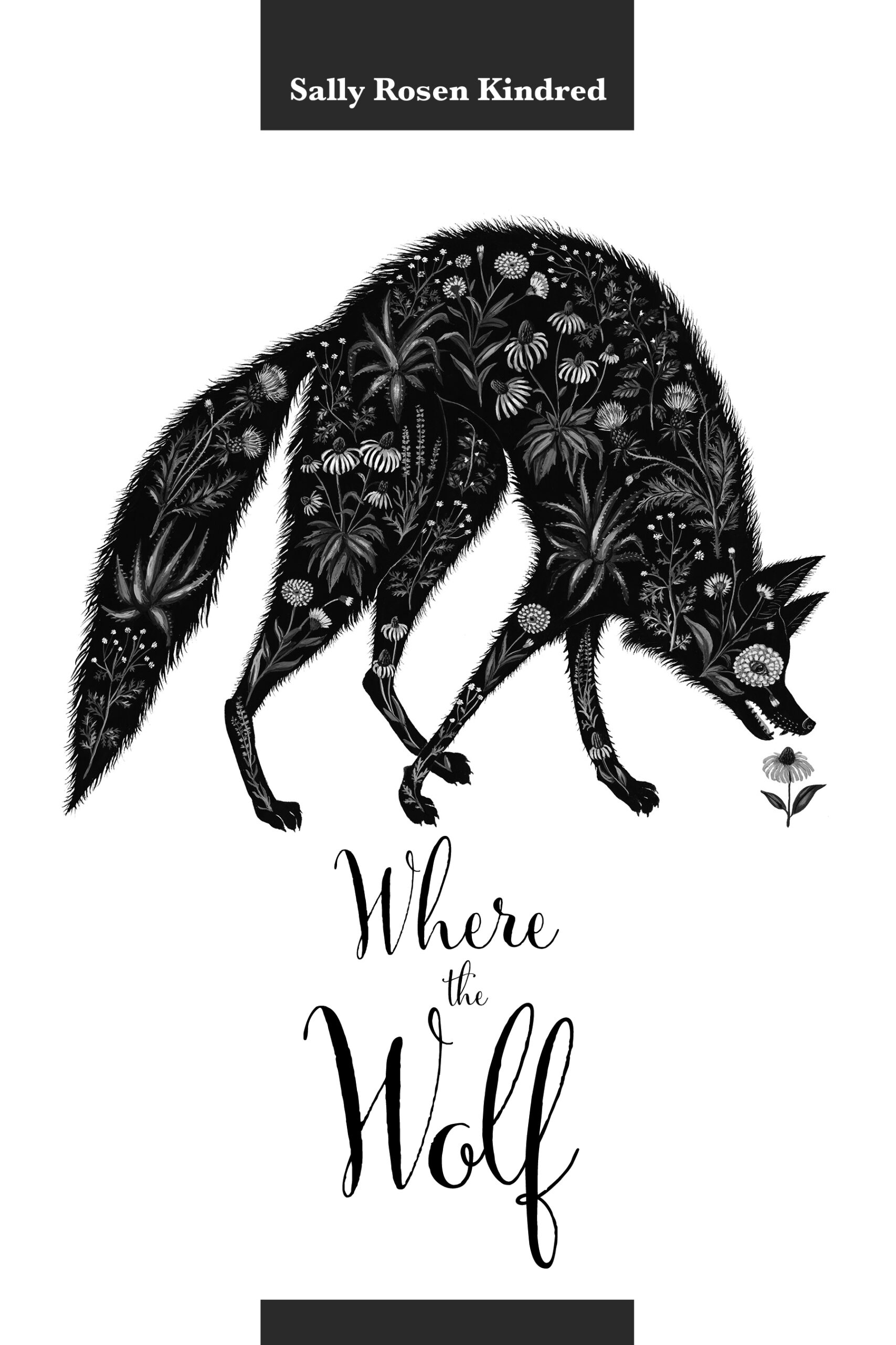 Book cover for poetry collection Where the Wolf