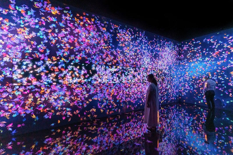Installation view of teamLab Continuity exhibition at Asian Art Museum of San Francisco.