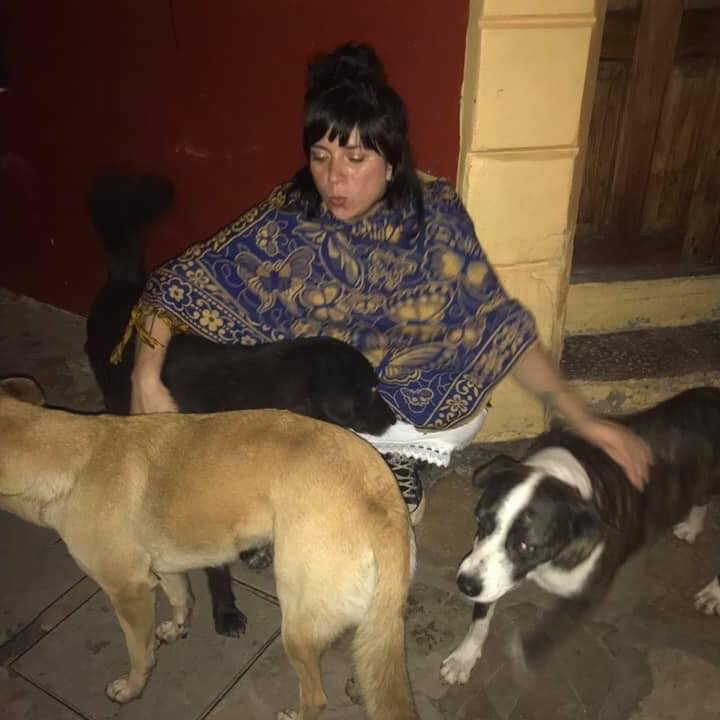 The author squats down to pet the three wild dogs that have surrounded her.
