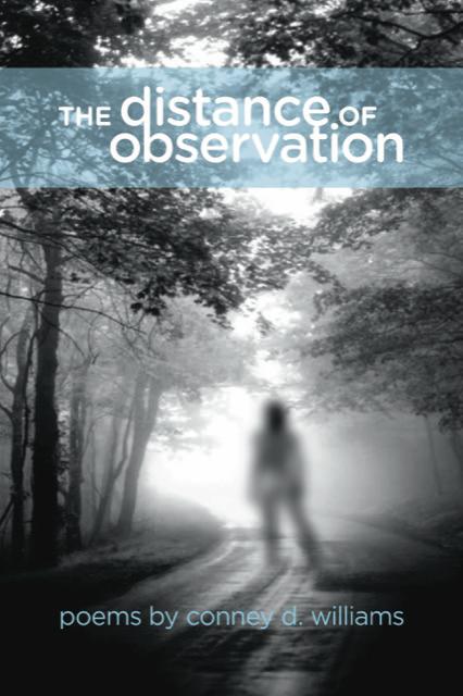 Front cover of THE DISTANCE OF OBSERVATION by Conney Williams; a (from the back) figure of woman stands on a misty dirt road with lots of trees on either side