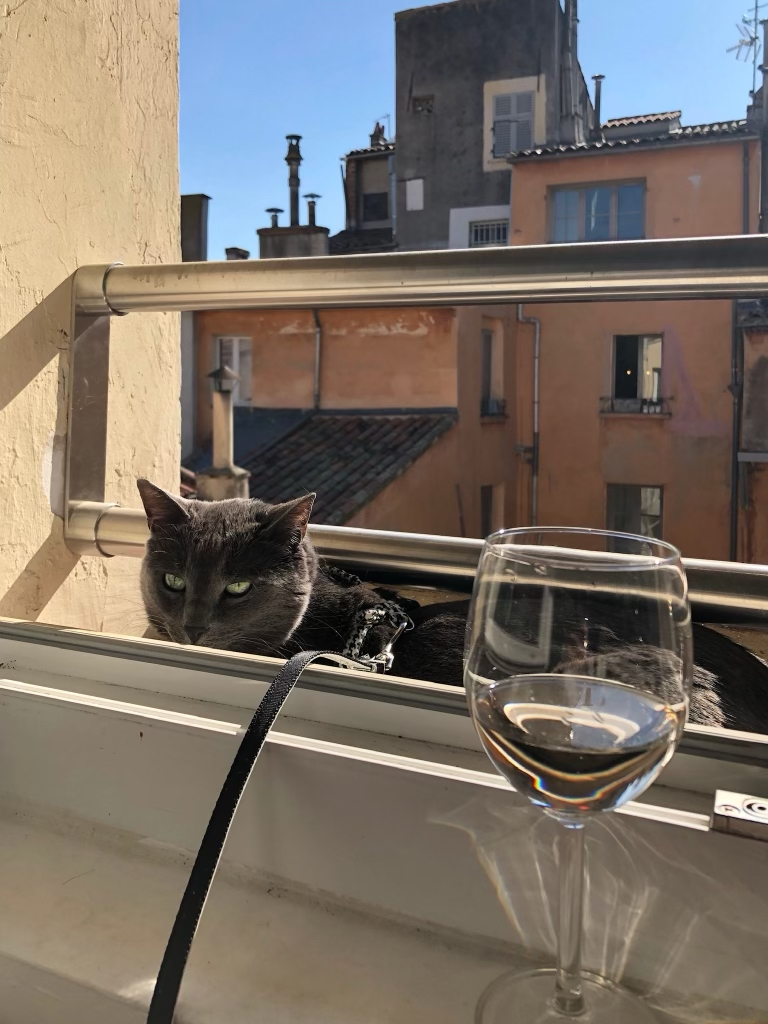 Blue peeks in from outside the window, looking like he wants to drink the wine sitting on the ledge.