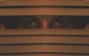 Two eyes staring through blinds