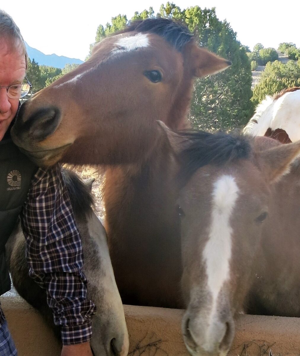 Photo of poet John Hicks. Basically, in the front center are three horses, one of the horses is nuzzling the barely visible face of a man in glass. He looks to be in his late 50s or 60s.