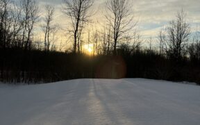 Photo of sunset in winter, Upstate New Year. Trees are barren of leaves, white snow on a hill, and behind the trees is the ray from the setting sun.