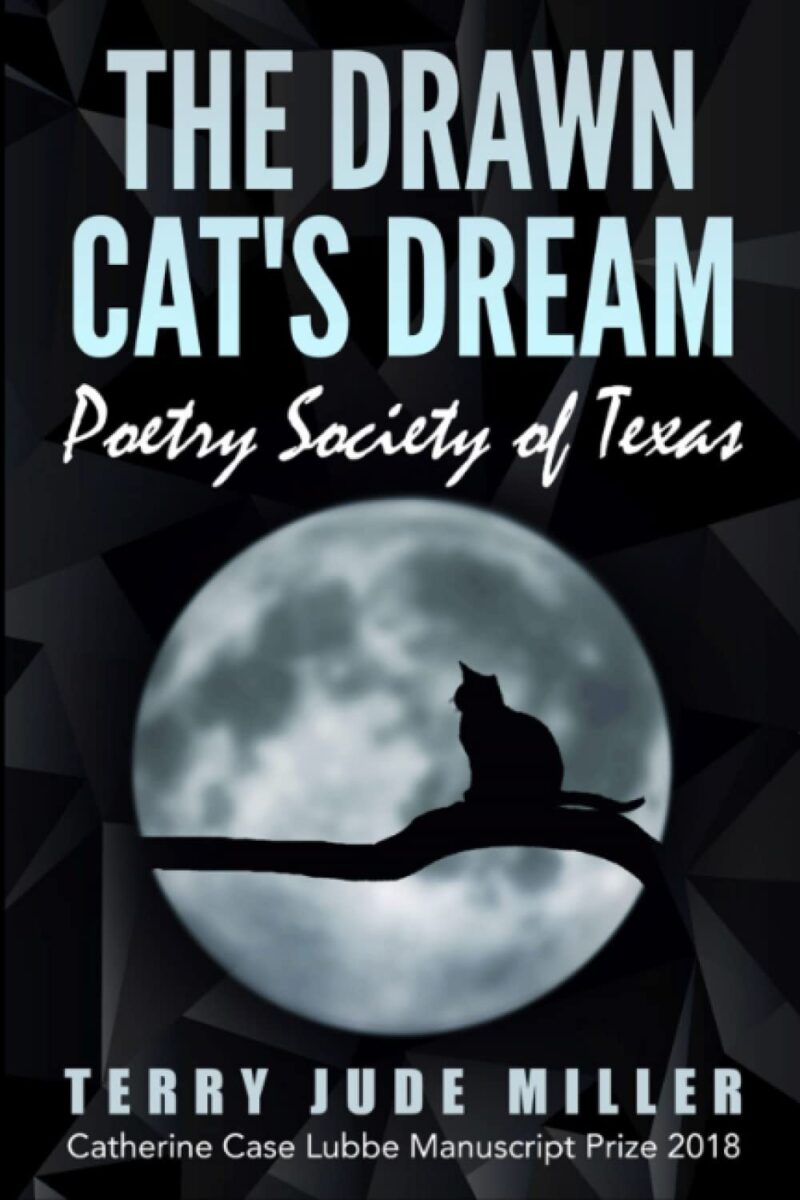 Book cover for The Drawn Cat's Dream by Terry Jude Miller