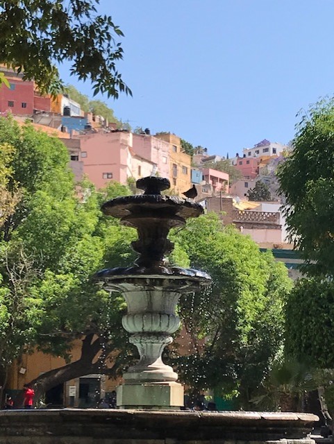 Fountain in Guanajuato/Trules