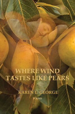 Front cover of Where Wind Tastes Like Pears by Karen L. George