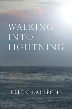 cover of Walking Into Lightning by Ellen LaFlèche