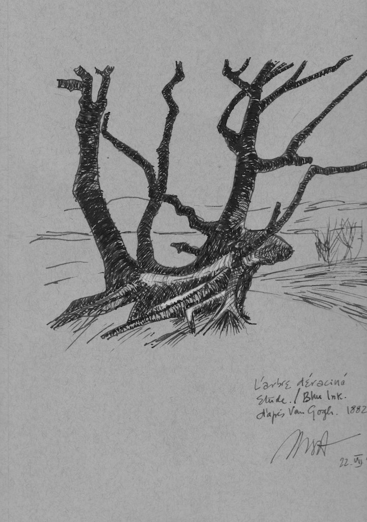 uprooted tree drawing