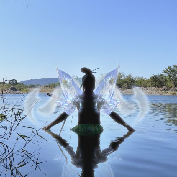A figure with wings in water