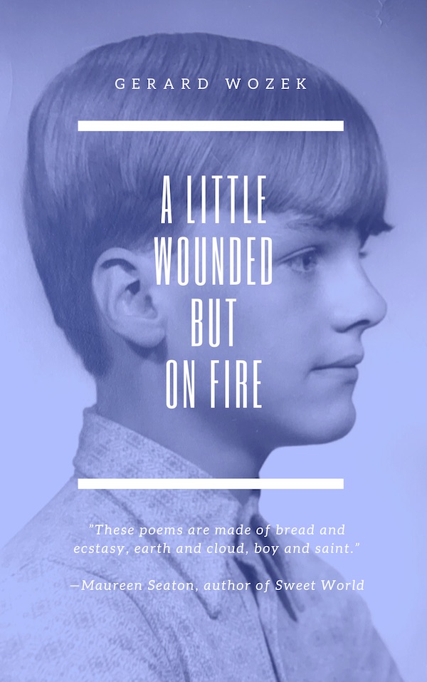 cover of A Little Wounded But On Fire by Gerard Wozek