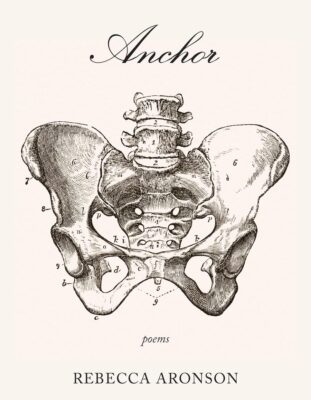 cover of Anchor by Rebecca Aronson