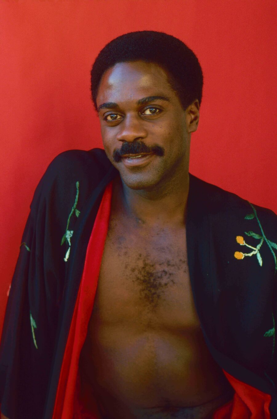 Howard Rollins In Feminine Clothes