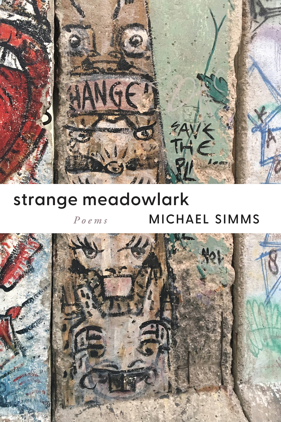 cover of Strange Meadowlark by Michael Simms
